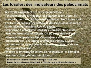 Les fossiles des indicateurs des paloclimats Les fossiles