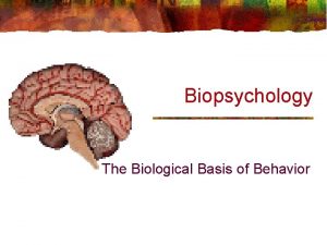 Biopsychology The Biological Basis of Behavior Neurons Structure