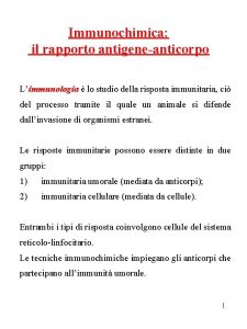 Immunochimica il rapporto antigeneanticorpo Limmunologia lo studio della