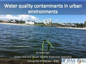 Water quality contaminants in urban environments AJ Reisinger