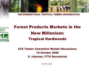 THE INTERNATIONAL TROPICAL TIMBER ORGANIZATION Forest Products Markets