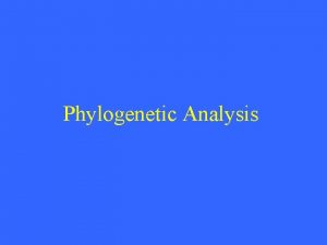Phylogenetic Analysis Introduction Intension Using powerful algorithms to