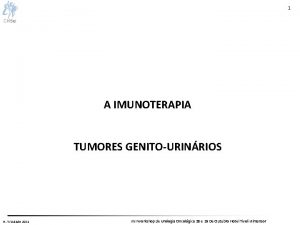 1 A IMUNOTERAPIA TUMORES GENITOURINRIOS H Trindade 2011