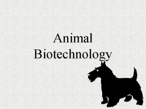 Animal Biotechnology Animal Biotech Animals provide a number