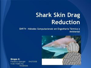 Shark Skin Drag Reduction EM 974 Mtodos Computacionais