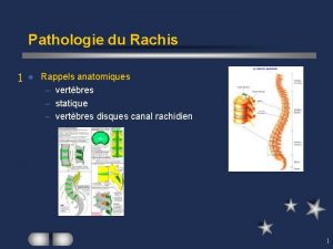 Pathologie du Rachis 1 l Rappels anatomiques vertbres