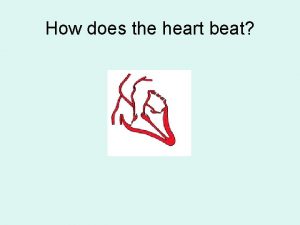 How does the heart beat The heart beat