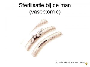 Sterilisatie bij de man vasectomie Urologie Medisch Spectrum