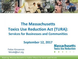 The Massachusetts Toxics Use Reduction Act TURA Services