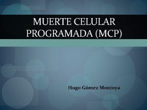 MUERTE CELULAR PROGRAMADA MCP Hugo Gmez Montoya MCP