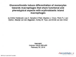 Glucocorticoids induce differentiation of monocytes towards macrophages that