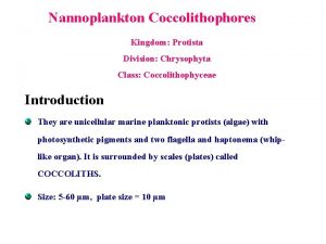 Nannoplankton Coccolithophores Kingdom Protista Division Chrysophyta Class Coccolithophyceae
