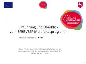 Einfhrung und berblick zum EFREESFMultifondsprogramm Reinhard Schmalz AL