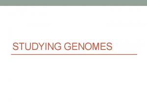 STUDYING GENOMES Studying DNA Enzymes for DNA manipulation