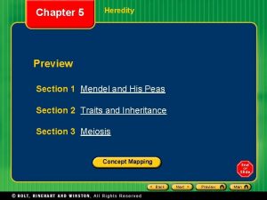 Chapter 5 Heredity Preview Section 1 Mendel and
