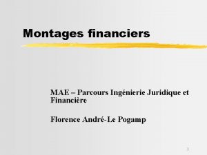 Montages financiers MAE Parcours Ingnierie Juridique et Financire