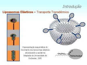 Introduo Lipossomas Elsticos Transporte Transdrmico Representao esquemtica do