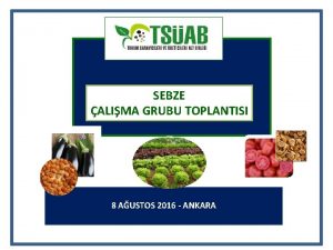 SEBZE ALIMA GRUBU TOPLANTISI 8 AUSTOS 2016 ANKARA