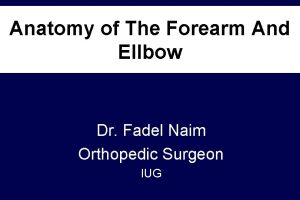 Anatomy of The Forearm And Ellbow Dr Fadel