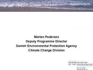 Morten Pedersen Deputy Programme Director Danish Environmental Protection