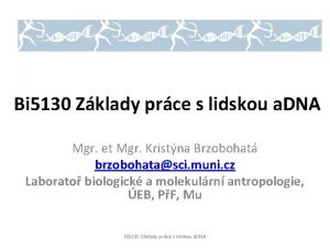 Bi 5130 Zklady prce s lidskou a DNA