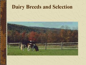 Dairy Breeds and Selection Dairy Breeds and Selection