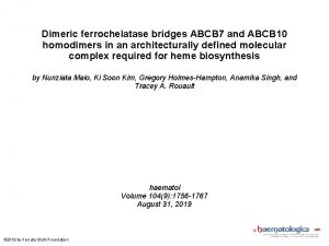 Dimeric ferrochelatase bridges ABCB 7 and ABCB 10