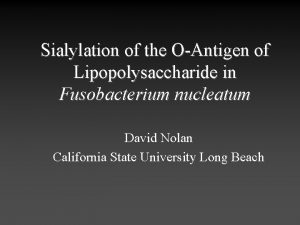 Sialylation of the OAntigen of Lipopolysaccharide in Fusobacterium