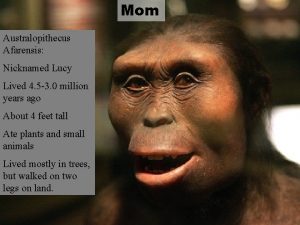 Mom Australopithecus Afarensis Nicknamed Lucy Lived 4 5