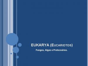 EUKARYA EUCARIOTOS Fungos Algas e Protozorios FUNGOS FUNGOS