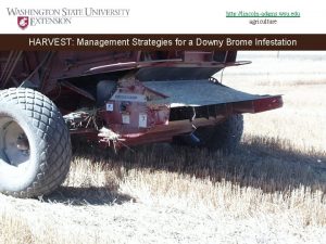 http lincolnadams wsu edu agriculture HARVEST Management Strategies