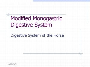 Modified Monogastric Digestive System of the Horse 10212021