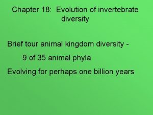 Chapter 18 Evolution of invertebrate diversity Brief tour