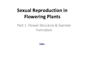 Sexual Reproduction in Flowering Plants Part 1 Flower