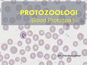PROTOZOOLOGI Blood Protozoa II drh Handayu Untari BLOOD