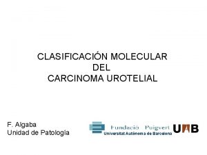 CLASIFICACIN MOLECULAR DEL CARCINOMA UROTELIAL F Algaba Unidad