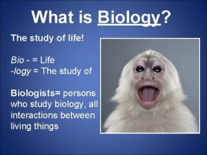 What is Biology The study of life Bio