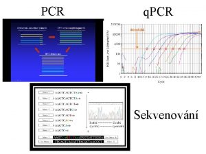 PCR q PCR Sekvenovn Genotypizace stanoven genotypu stanoven