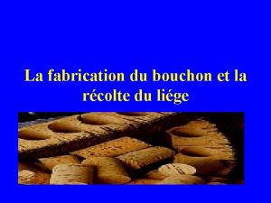 La fabrication du bouchon et la rcolte du