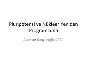 Pluripotensi ve Nkleer Yeniden Programlama Asuman Sungurolu 2012