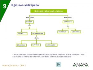 9 Higiduren sailkapena Higidurak sailkatu egin daitezke Honen