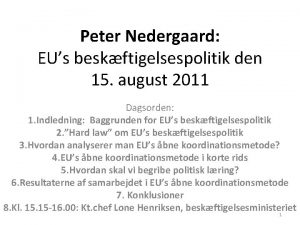 Peter Nedergaard EUs beskftigelsespolitik den 15 august 2011