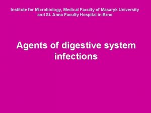 Institute for Microbiology Medical Faculty of Masaryk University