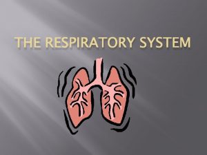 THE RESPIRATORY SYSTEM Upper respiratory system nose and