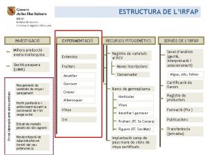 ESTRUCTURA DE LIRFAP INVESTIGACI Millora producci ovella mallorquina