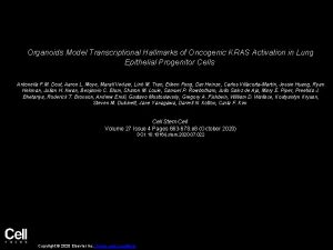 Organoids Model Transcriptional Hallmarks of Oncogenic KRAS Activation