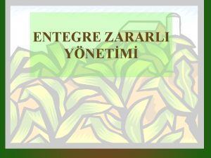 ENTEGRE ZARARLI YNETM Entegre zararl ynetimi EZY mevcut