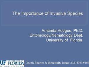 The Importance of Invasive Species Amanda Hodges Ph