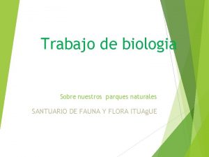 Trabajo de biologia Sobre nuestros parques naturales SANTUARIO