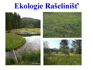 Ekologie Raelini Ekologie Raelini 1 Definice a rozdlen